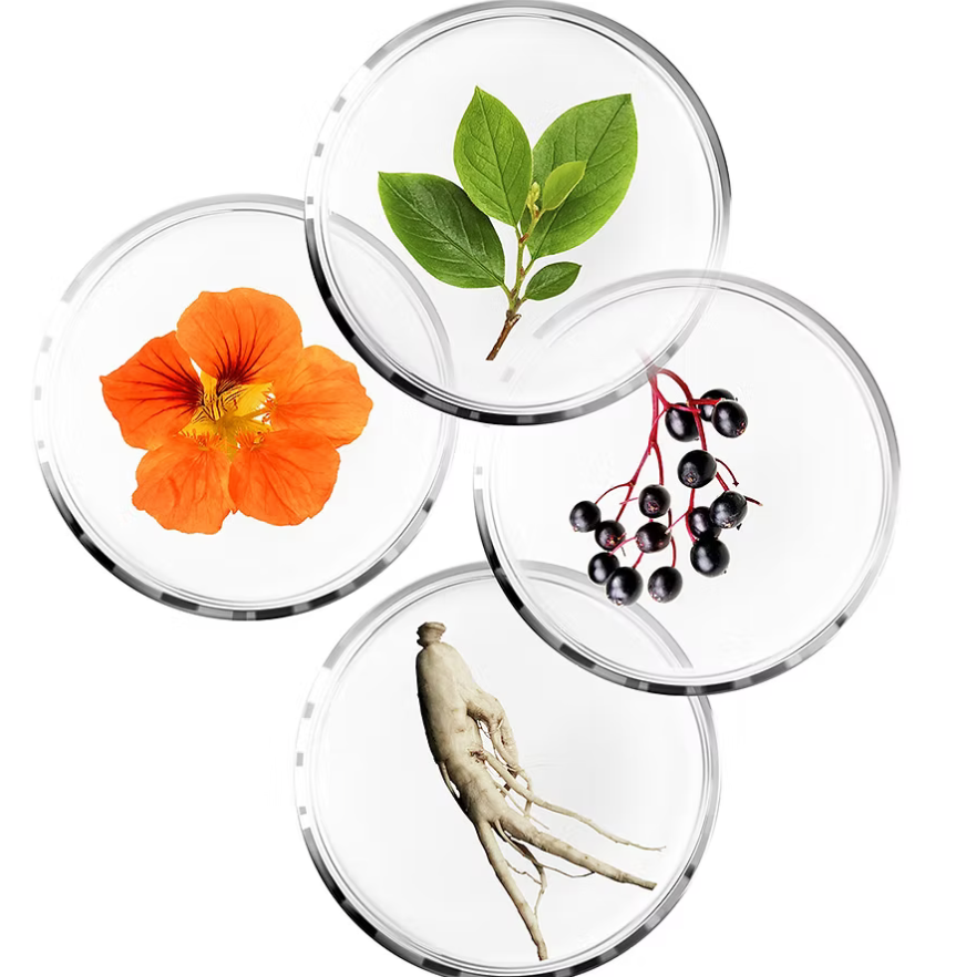 Sothys DX Glow Defense Serum &amp; Cream 